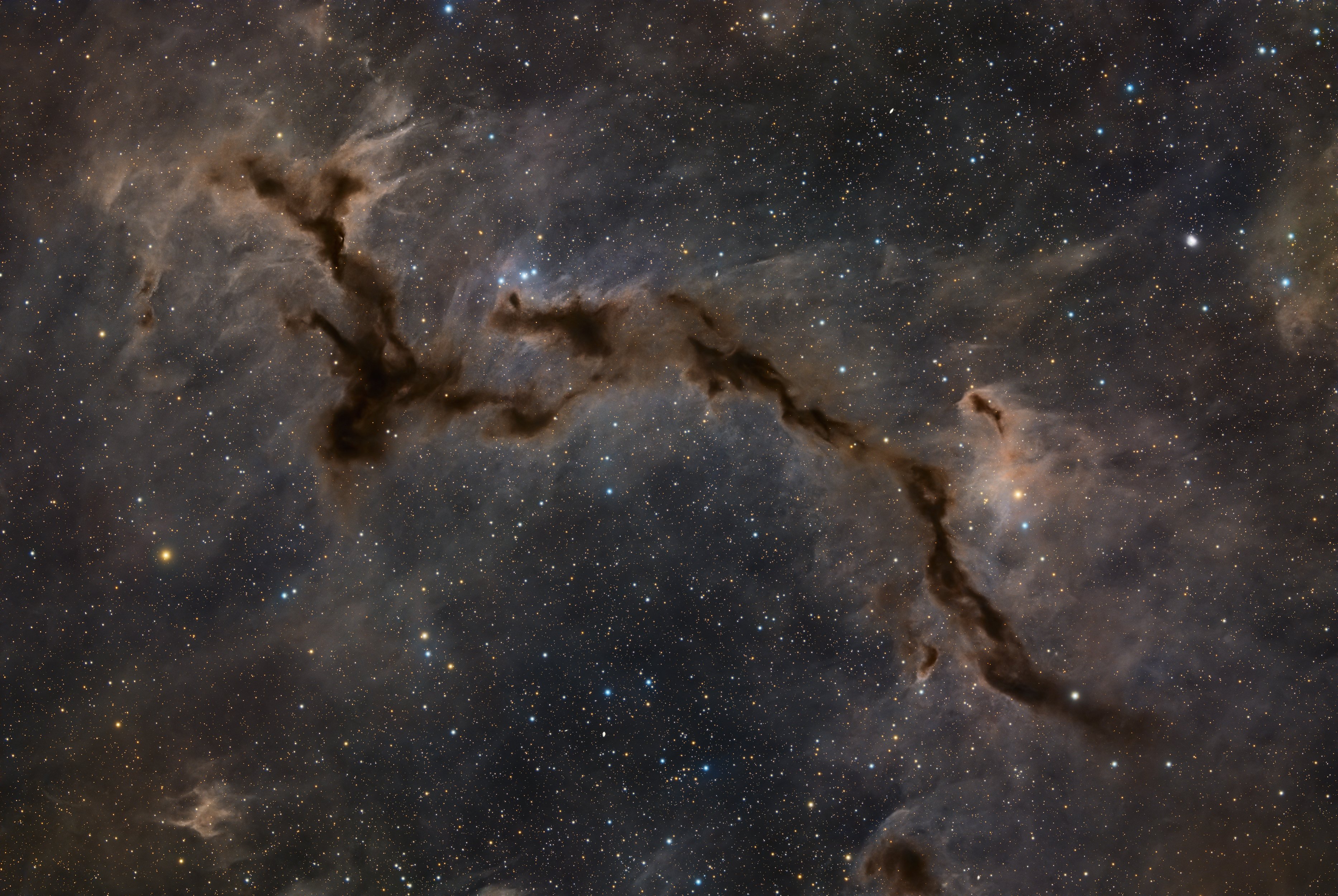 LDN1082/ Barnard150/ Seepferdchennebel