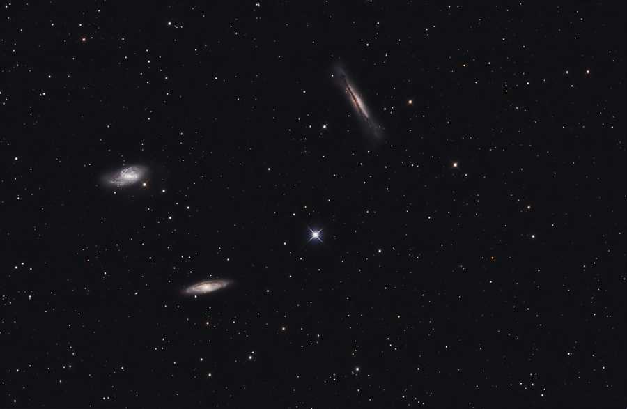 Leo Triplet