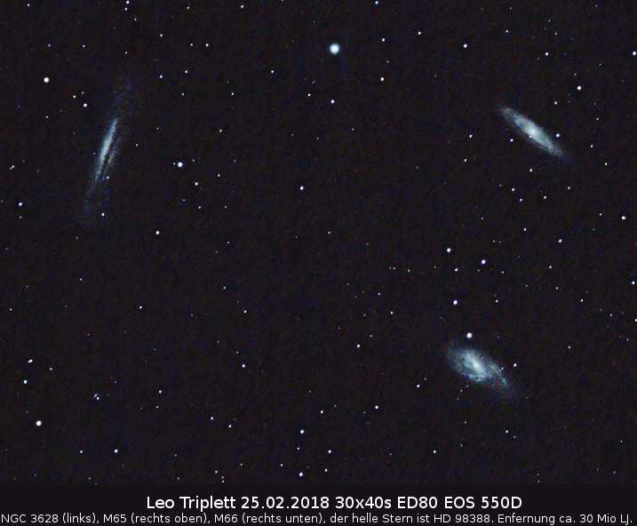 Leo-Triplett bei Mondschein und Lichtverschmutzung