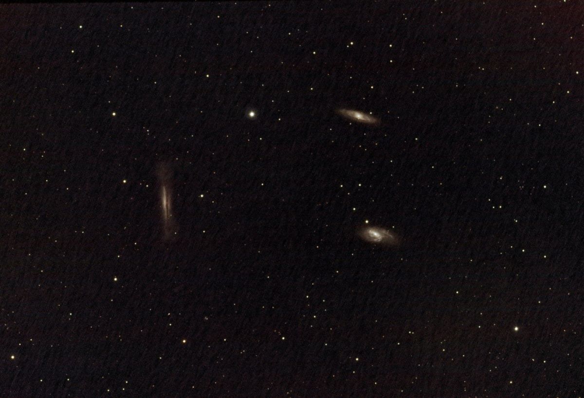 Leo Triplett First Light