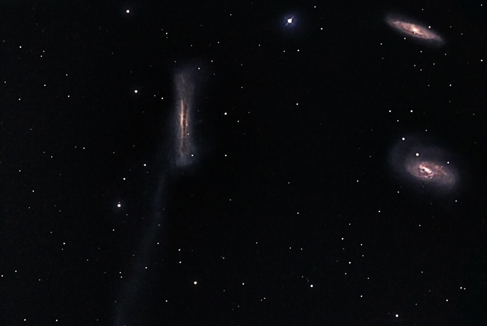 leo triplett.jpg