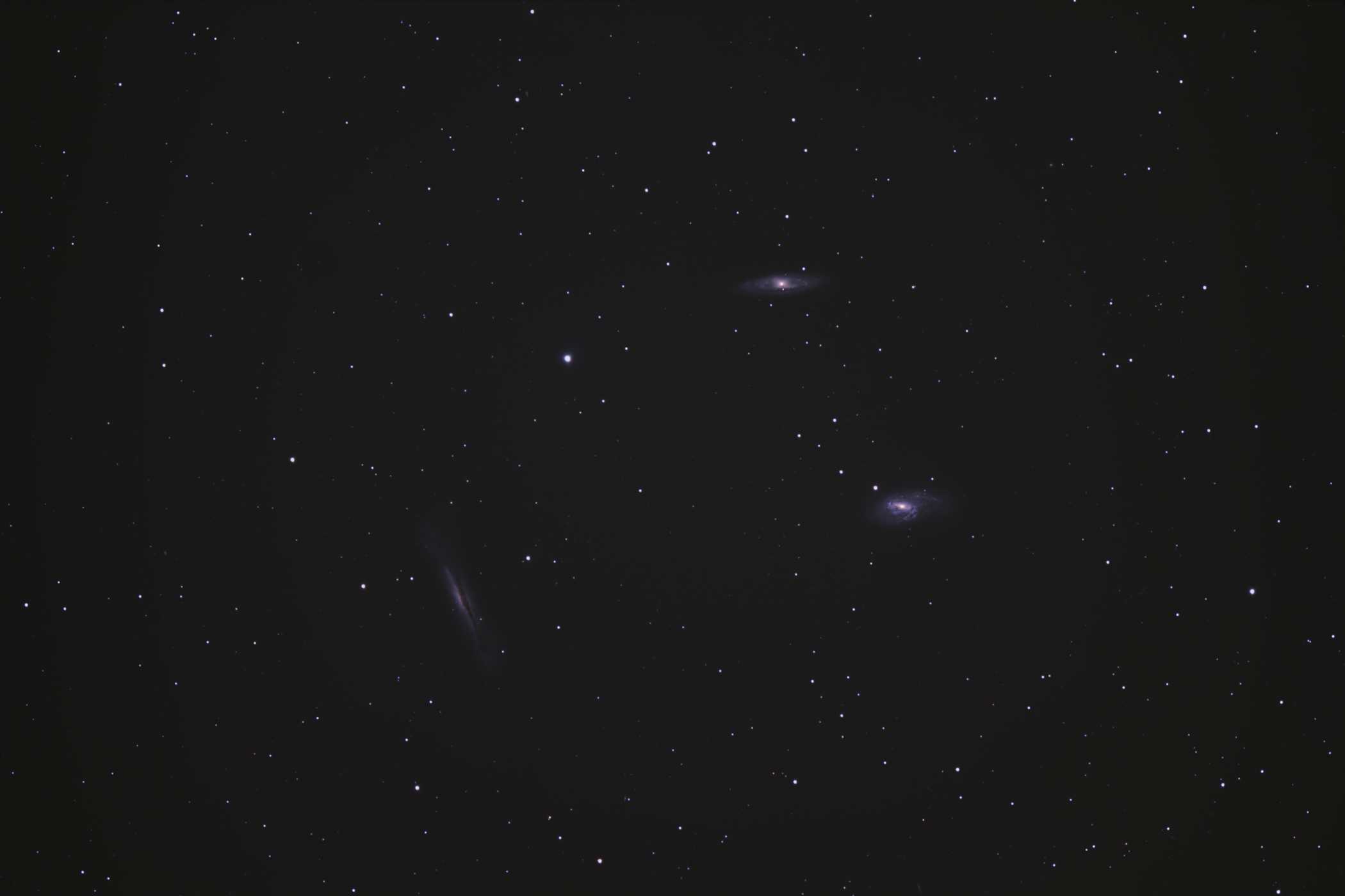 Leo-Triplett mit DSLR