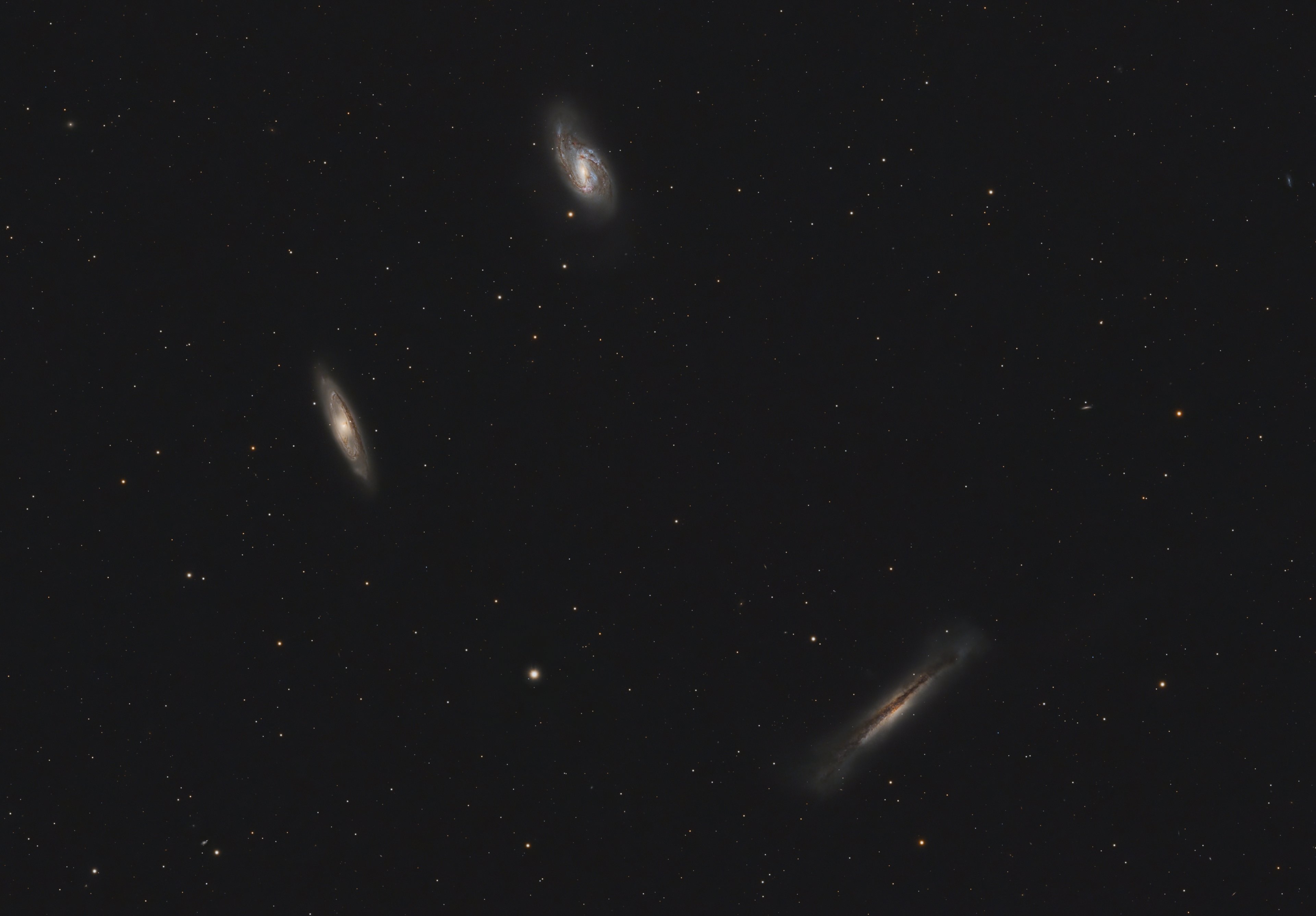 Leo Triplett mit PI und BXT