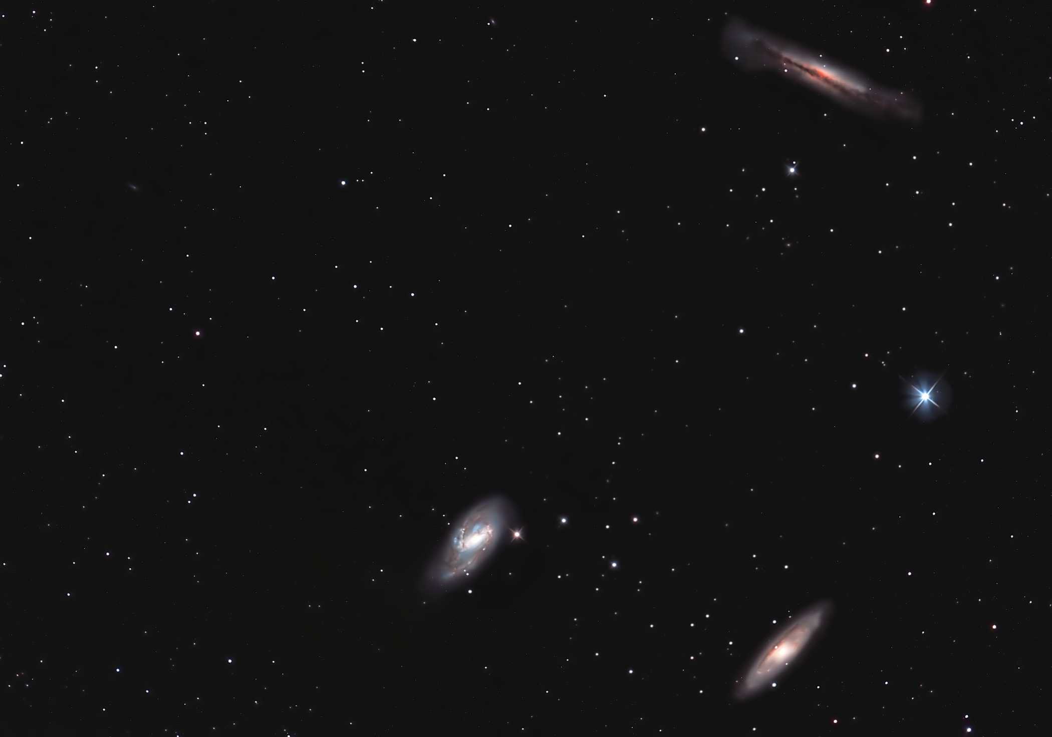 Leo Triplett Mosaic