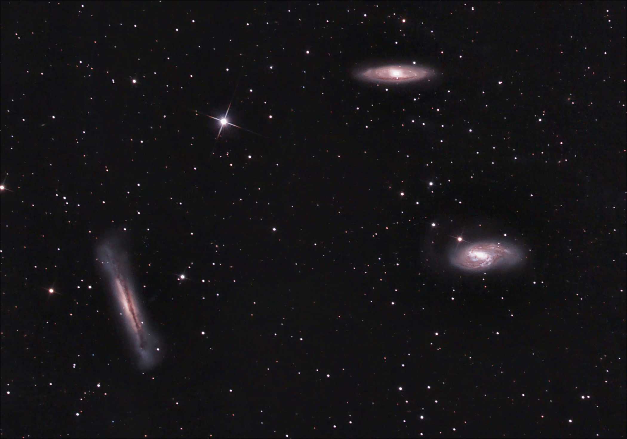 Leo- Triplett vom 27.03.2017