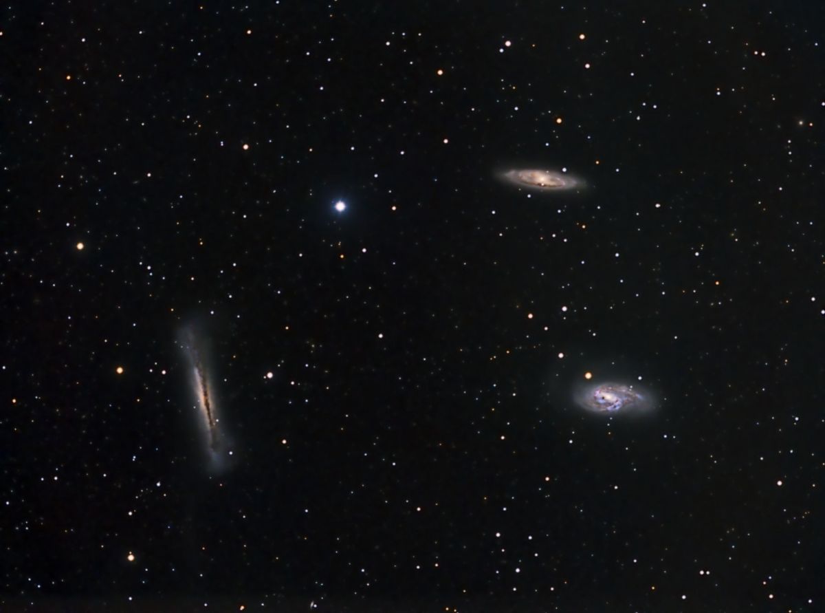 Leo Triplett vom 5.3.11 nachbearbeitet