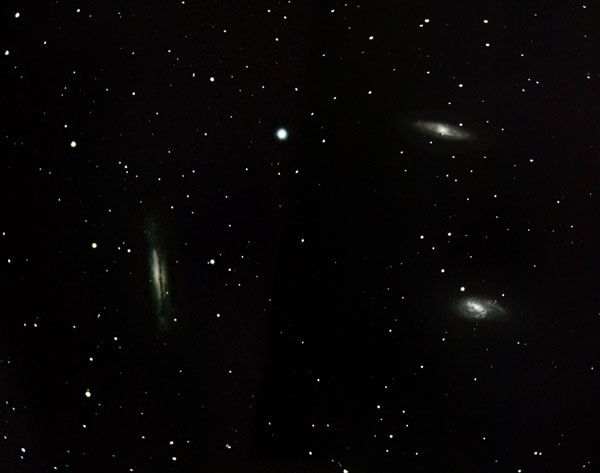 Leo-Triplett