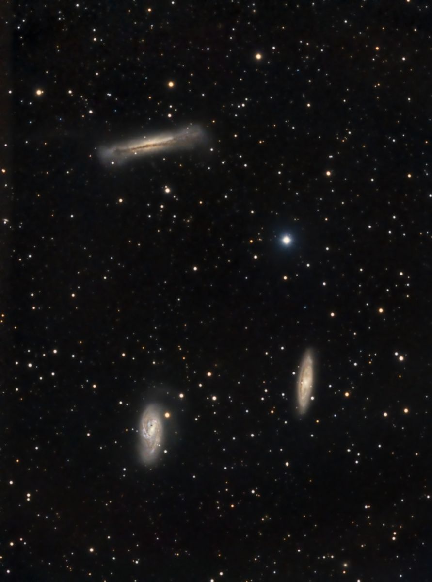 Leo Triplett