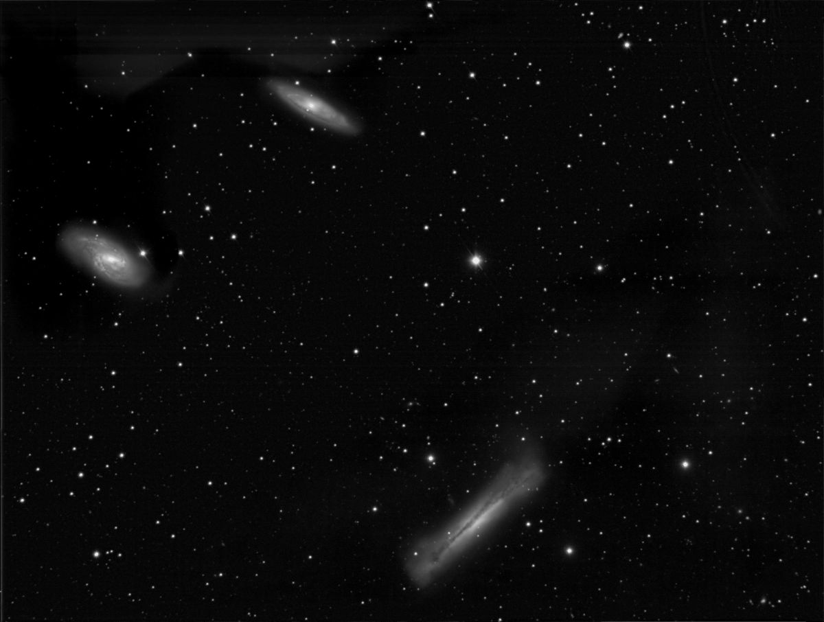 Leo Triplett