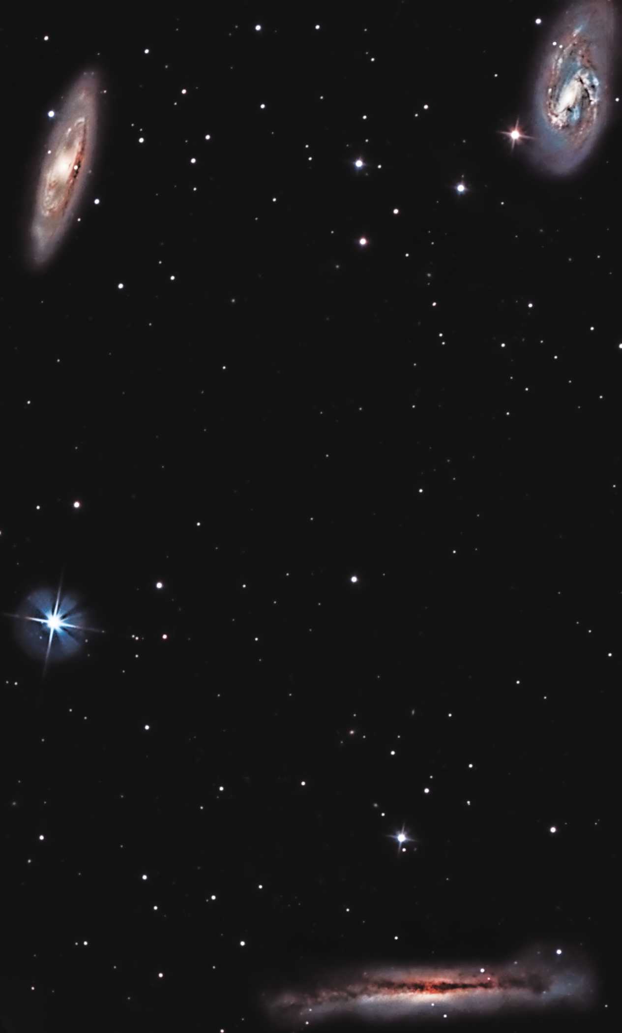 Leo Triplett