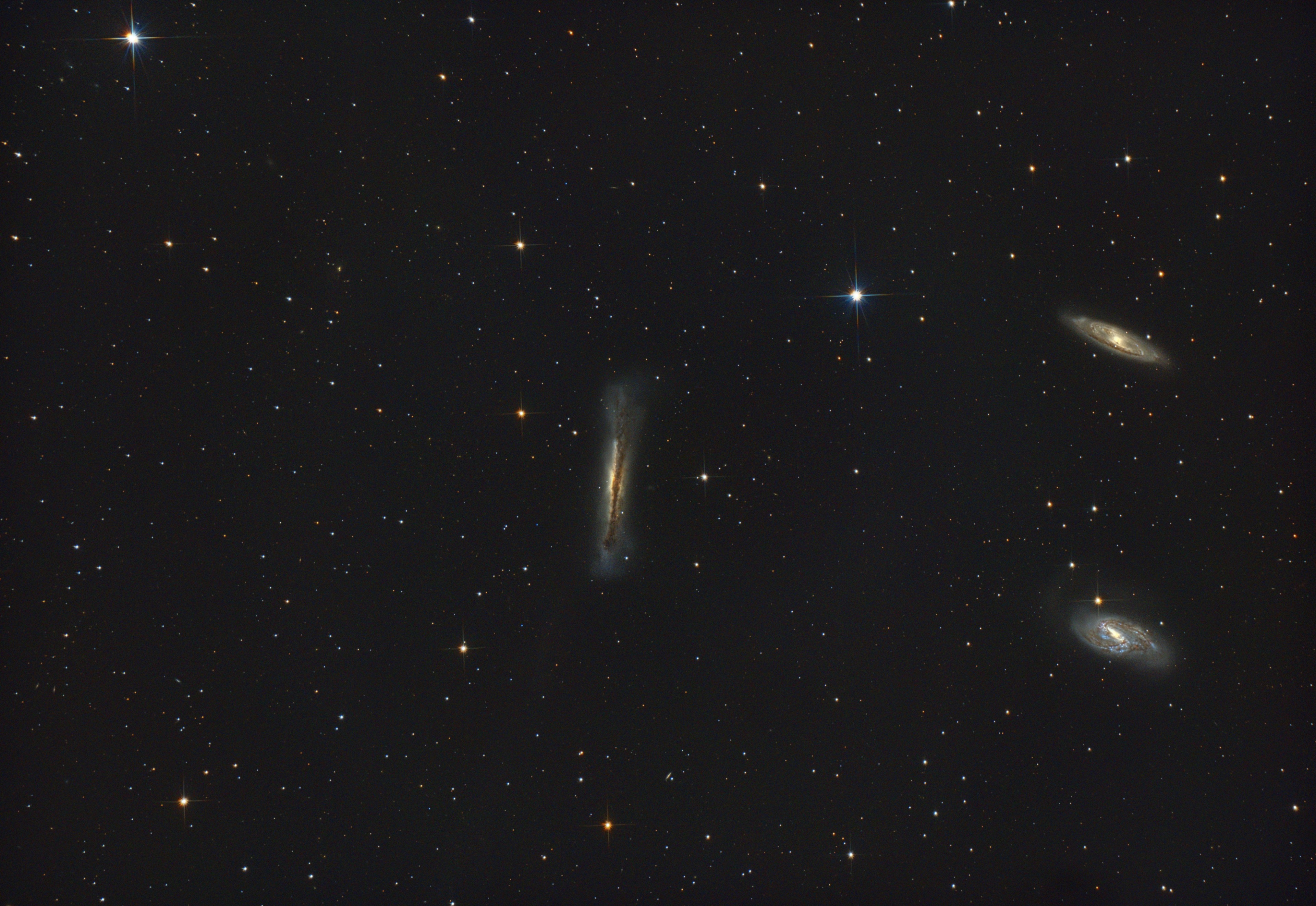 Leo Triplett