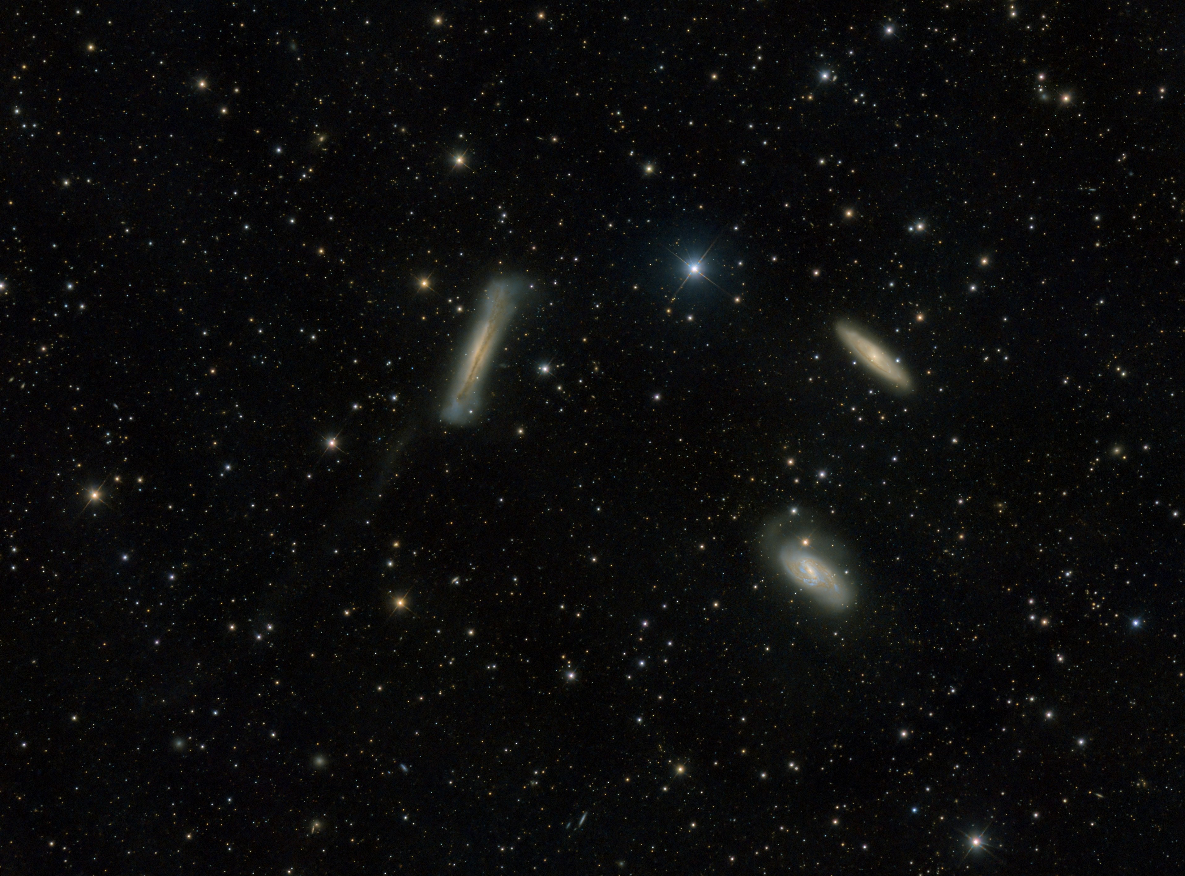 Leo Triplett