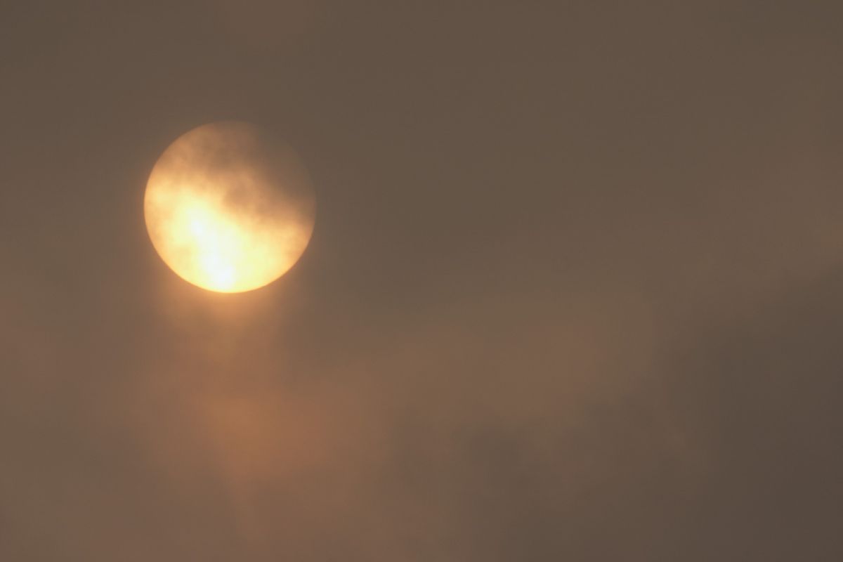 Lichtblick