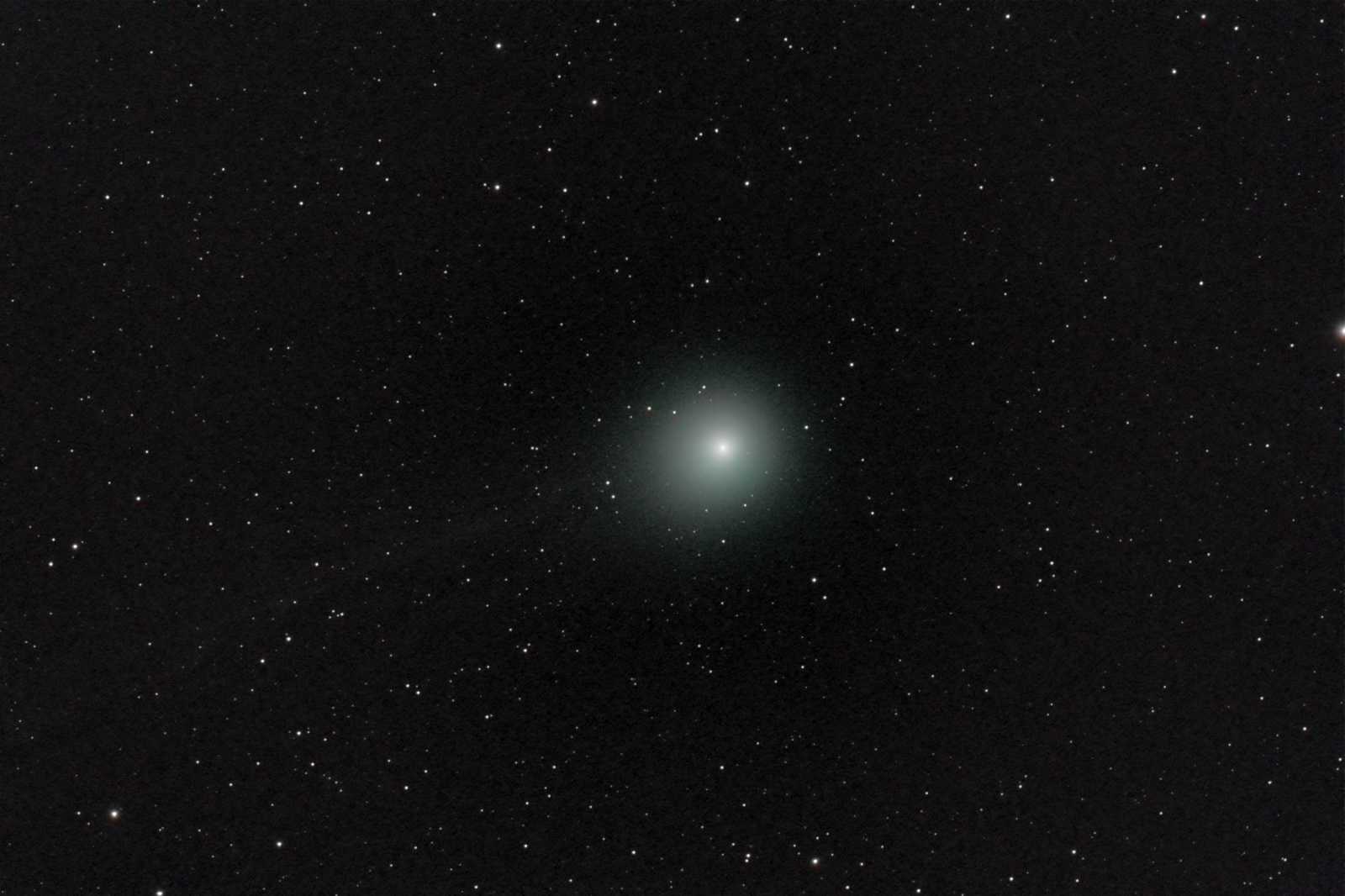 Lovejoy am 17.Jan. 2015