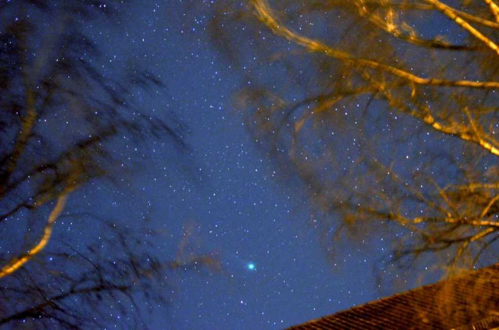 Lovejoy aus der Stadt