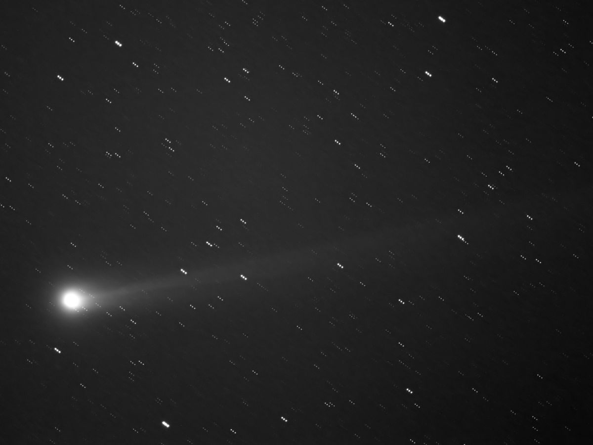 lovejoy261113d_filteredPSklein.jpg