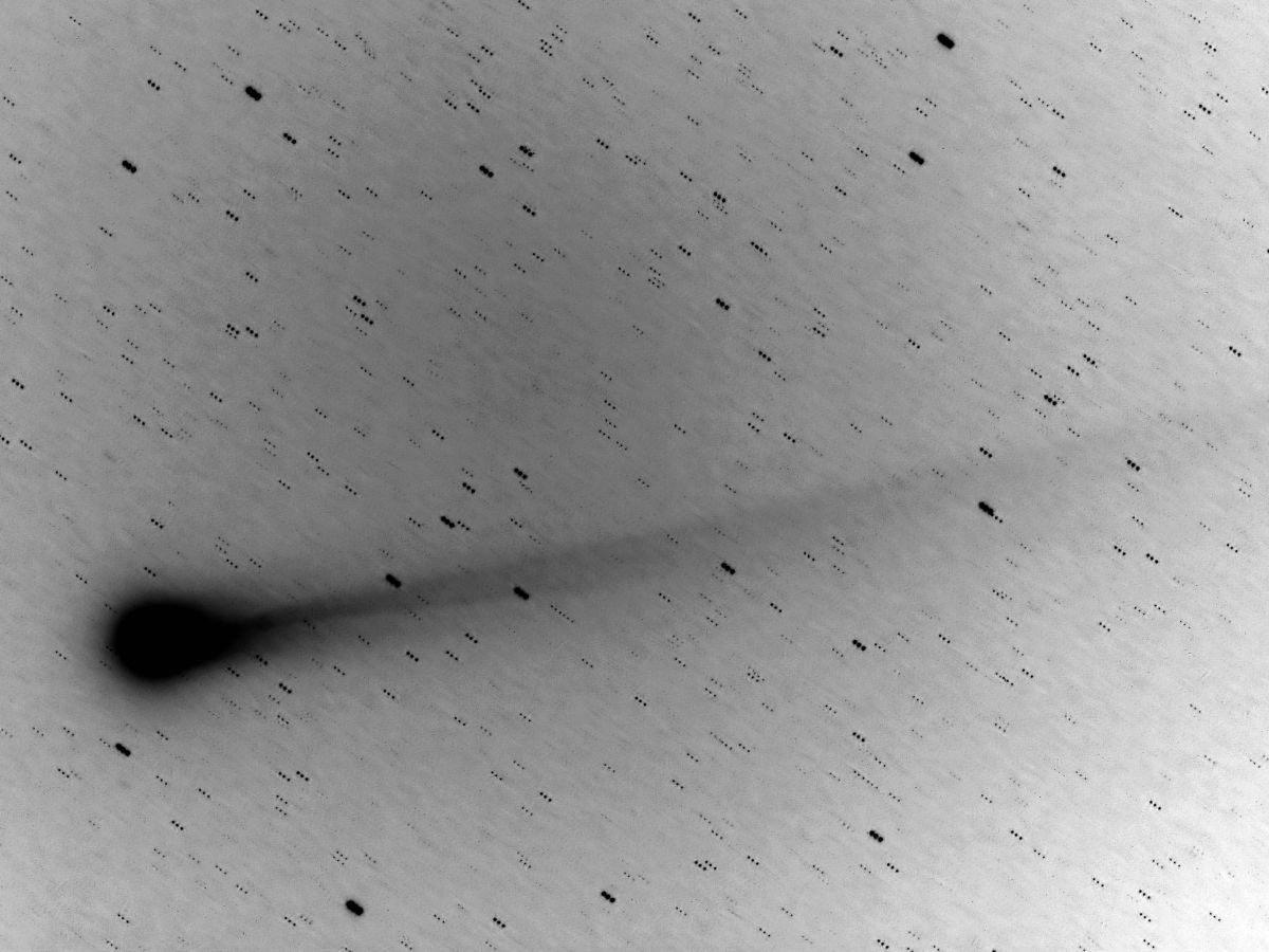 lovejoy261113d_filteredPSngklein.jpg