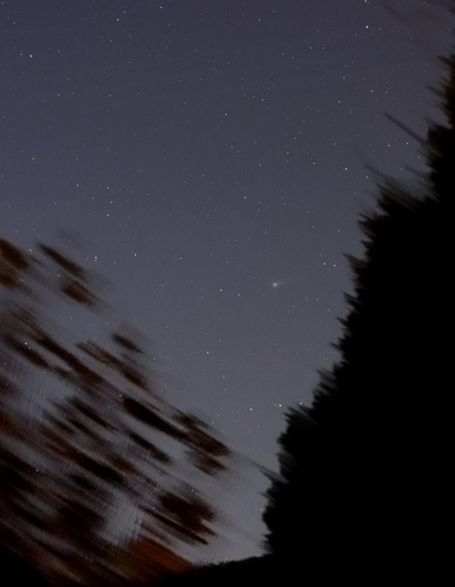 Lovejoy_1.jpg