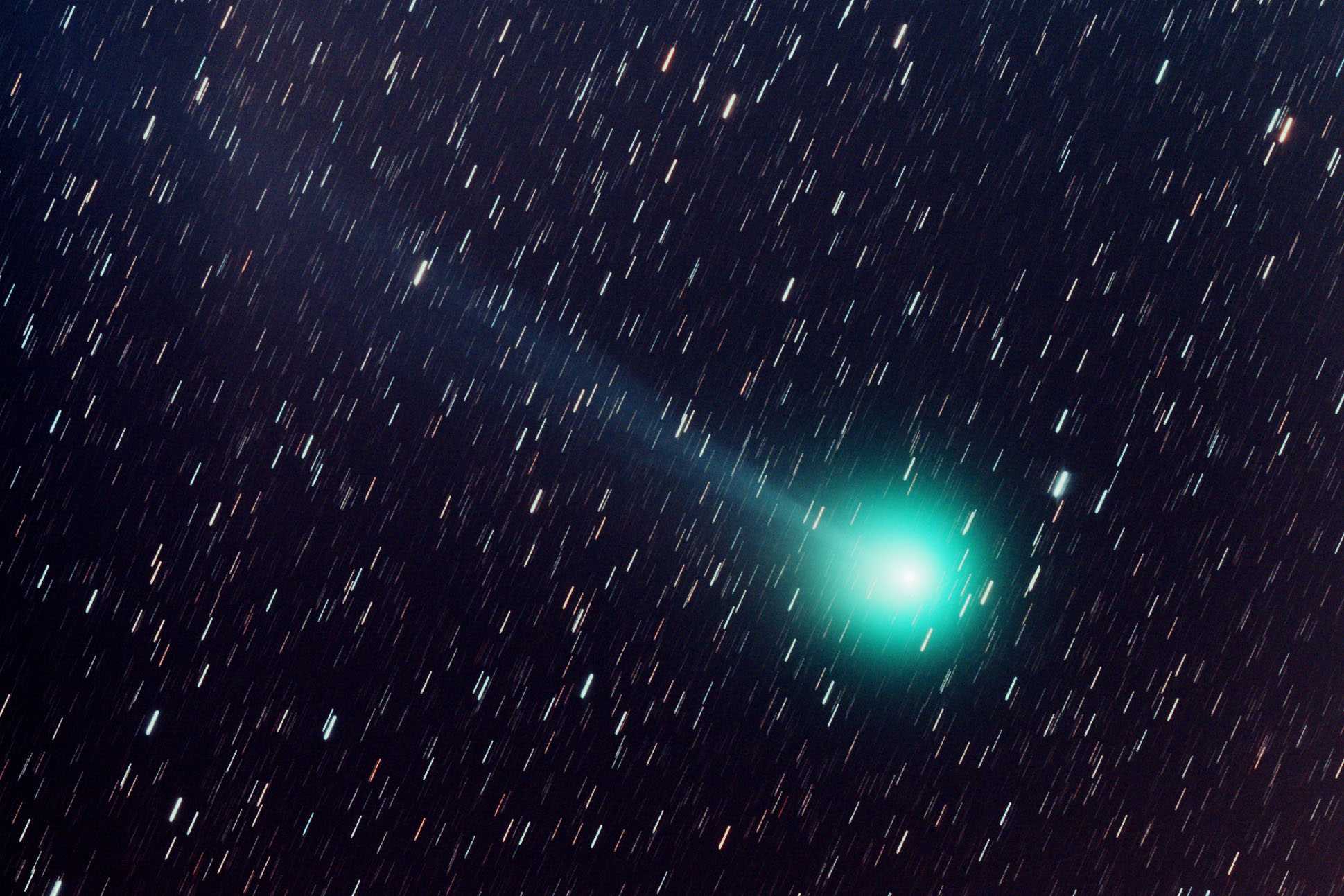 Lovejoy_b.jpg
