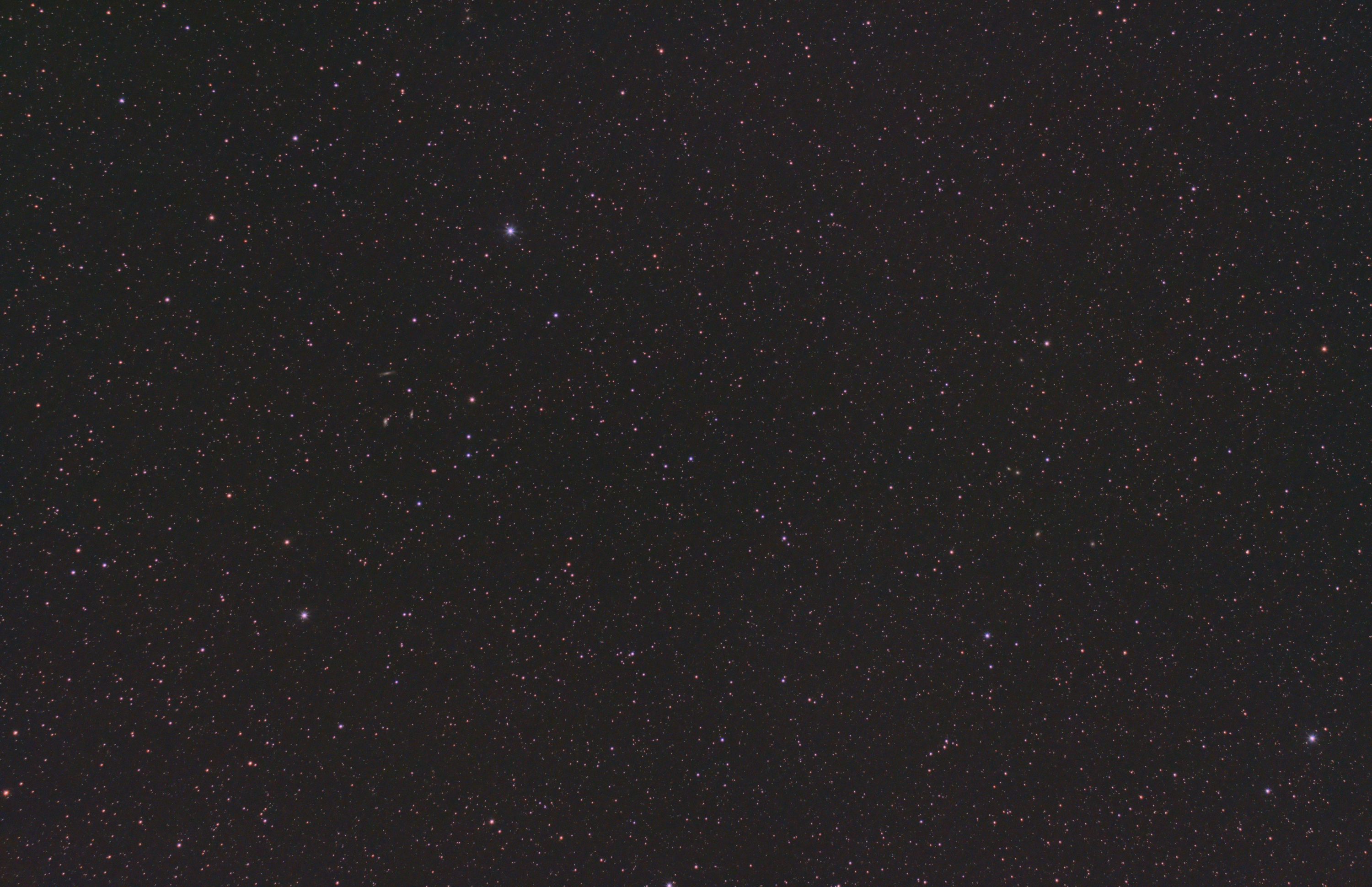 Löwe-Widefield.jpg