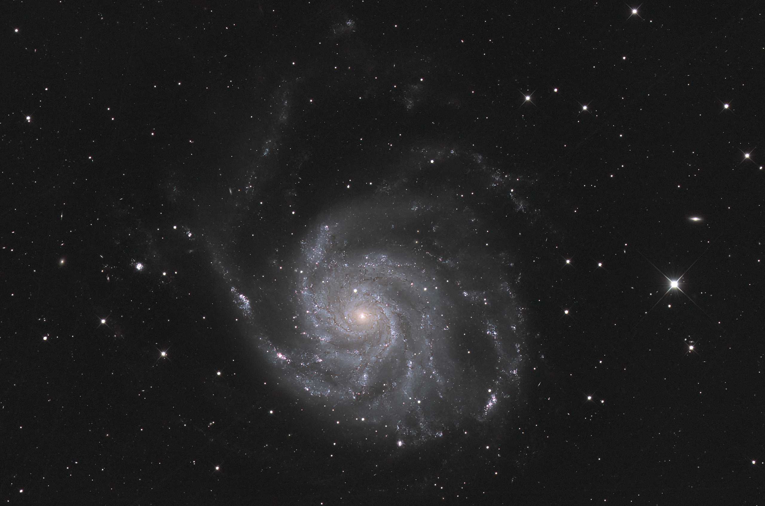 M 101, Pinwheel Galaxie