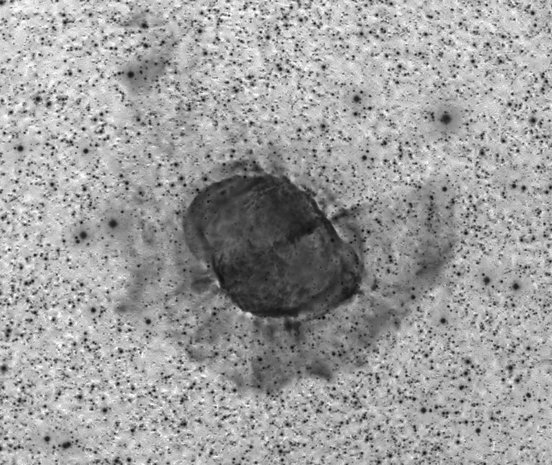 M 27, Ha Schalen Invers