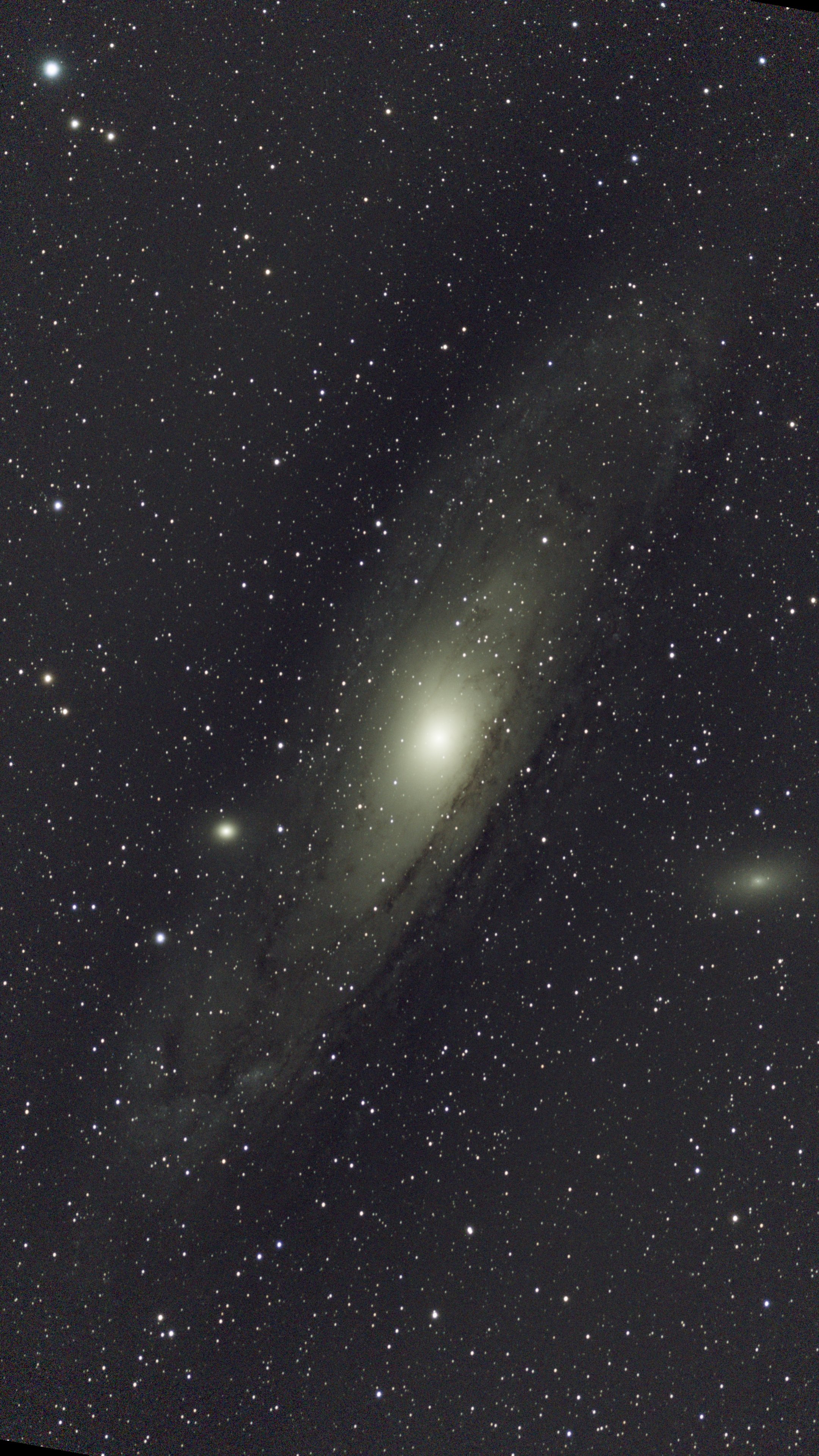 M 31