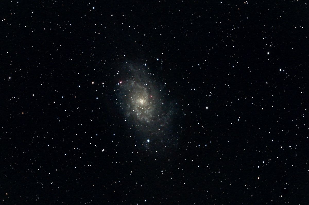 M 33