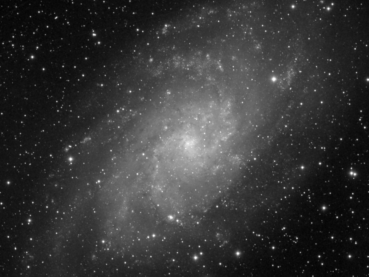 M 33