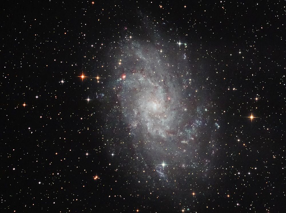 M 33