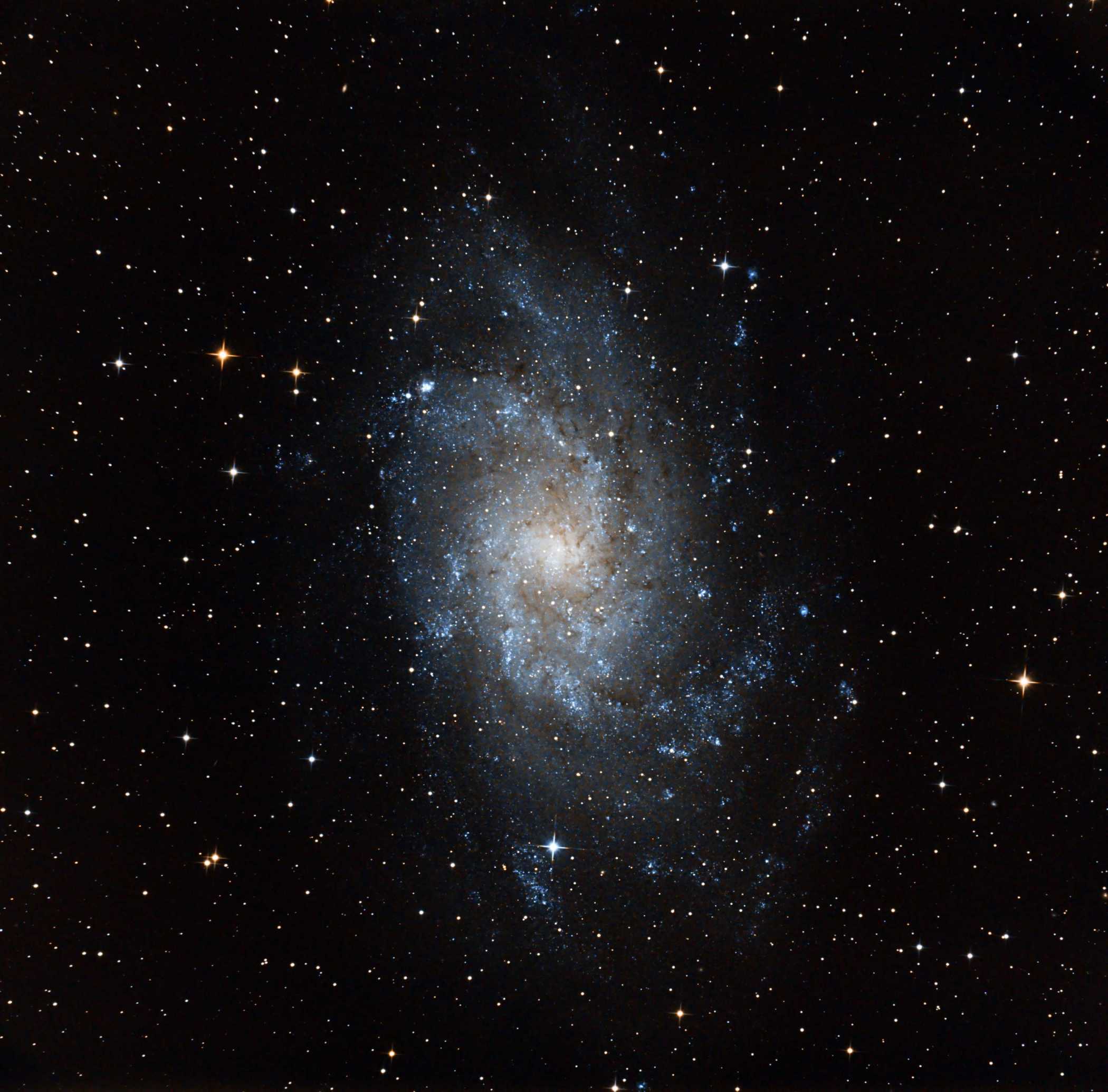 M 33