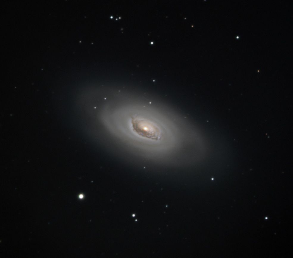 M 64