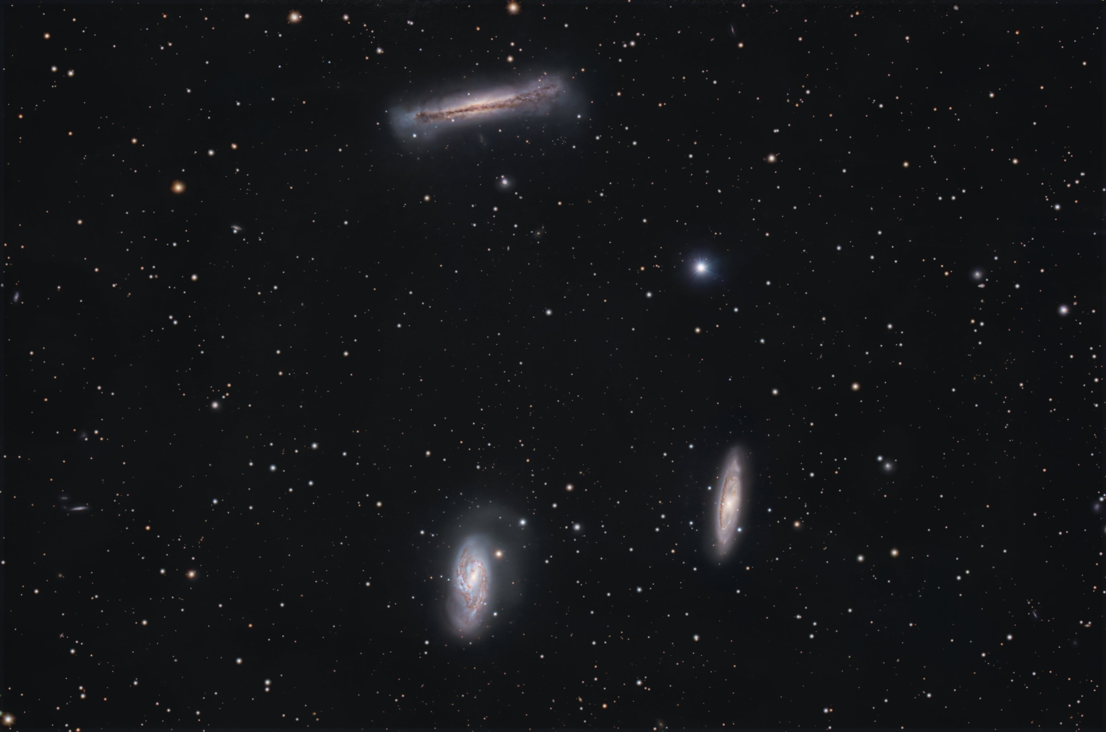 M 65 M66 NGC 2175.jpg