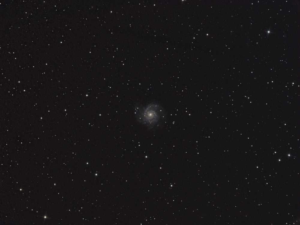 M 74