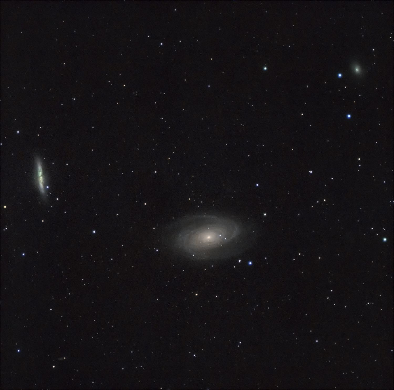 M 81