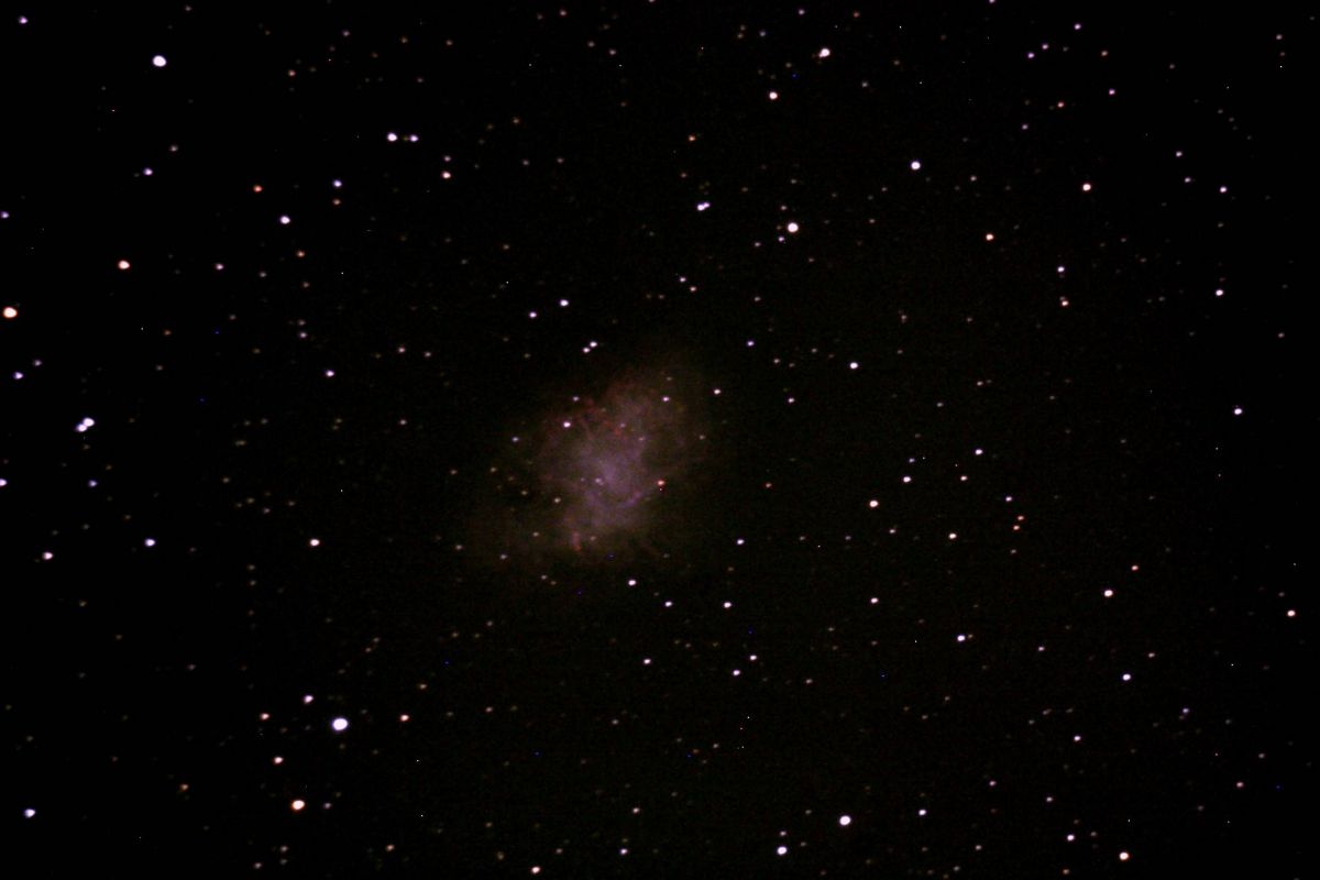 M1