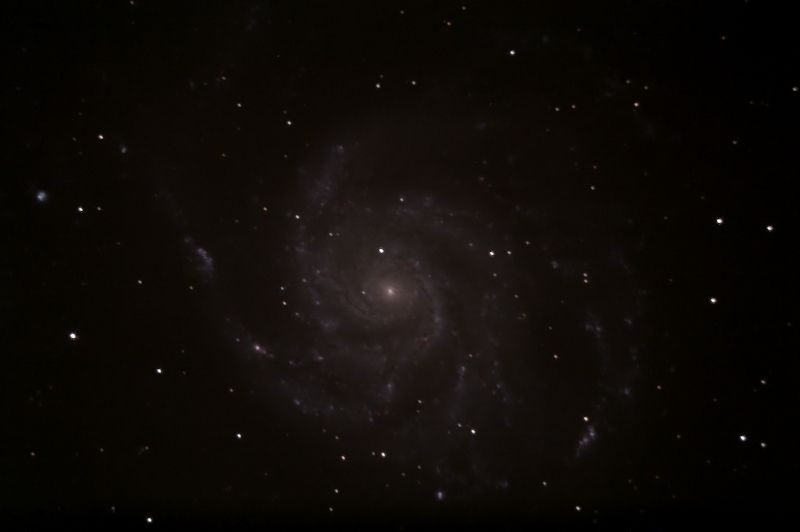M101 am 24"