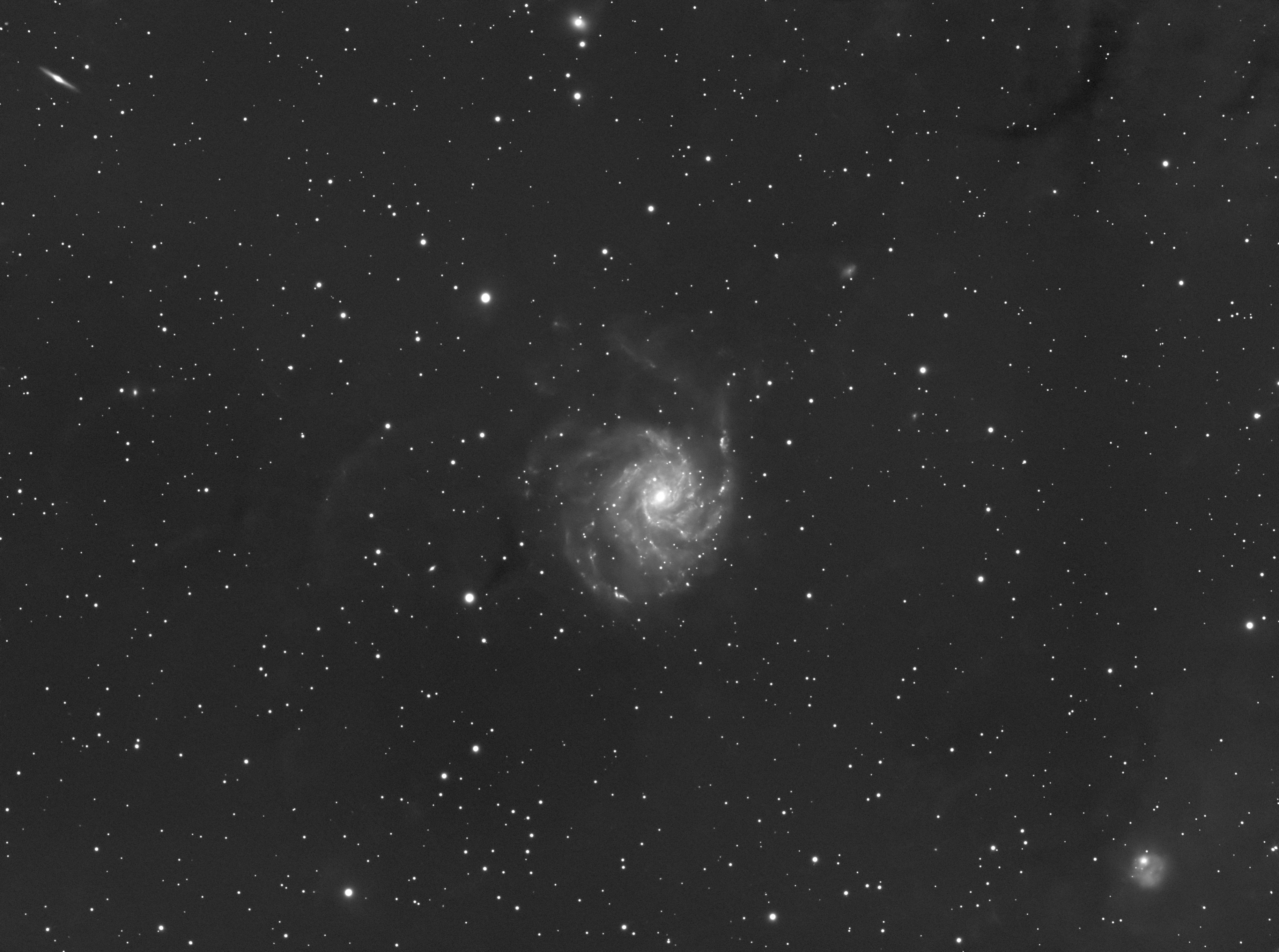 M101, die Pinwheel Galaxie
