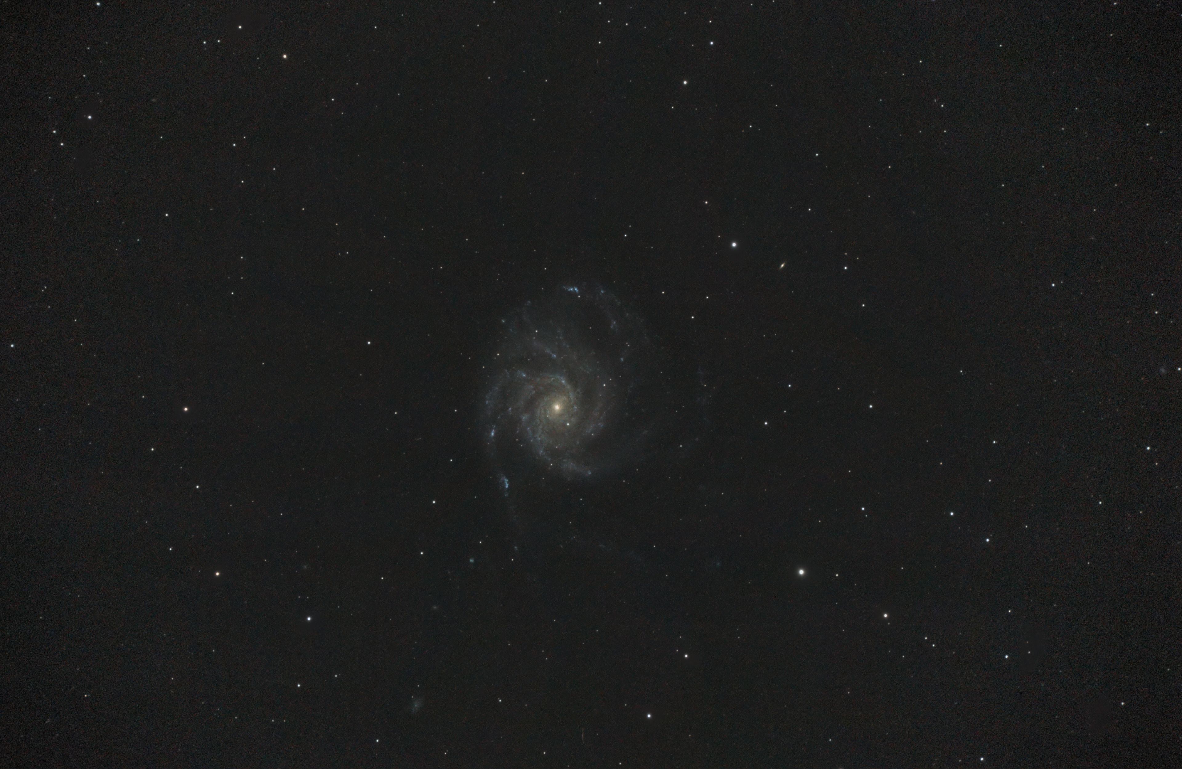 M101 im Vollformat am C8