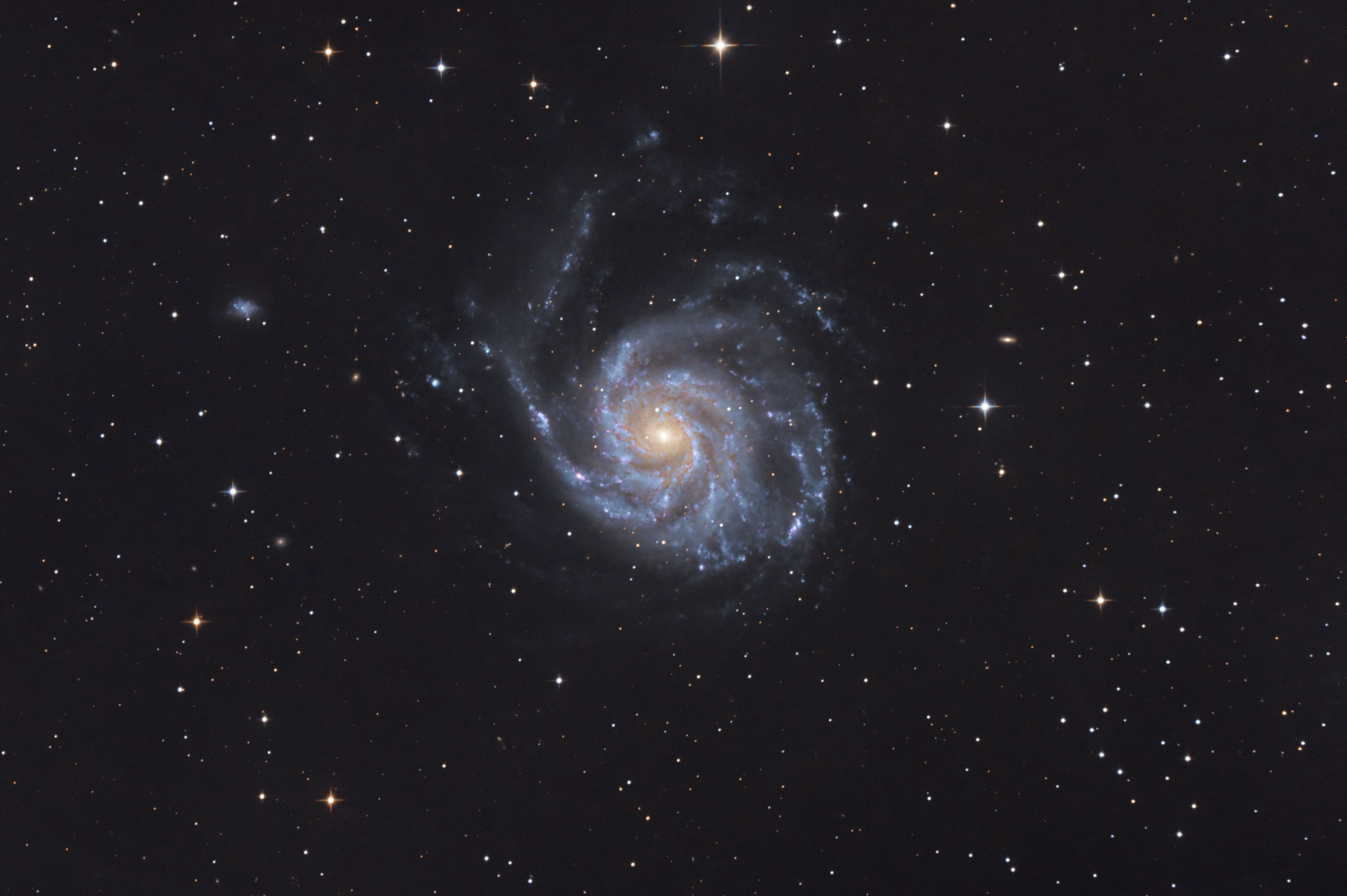 M101.jpeg