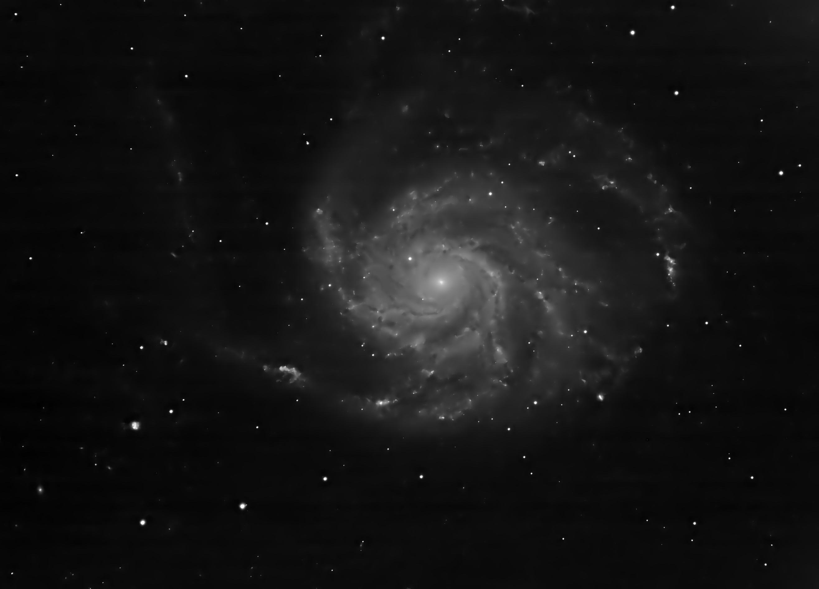 M101.jpg
