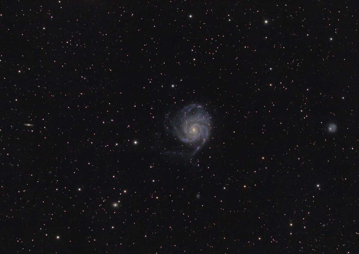 M101-web-2.jpg