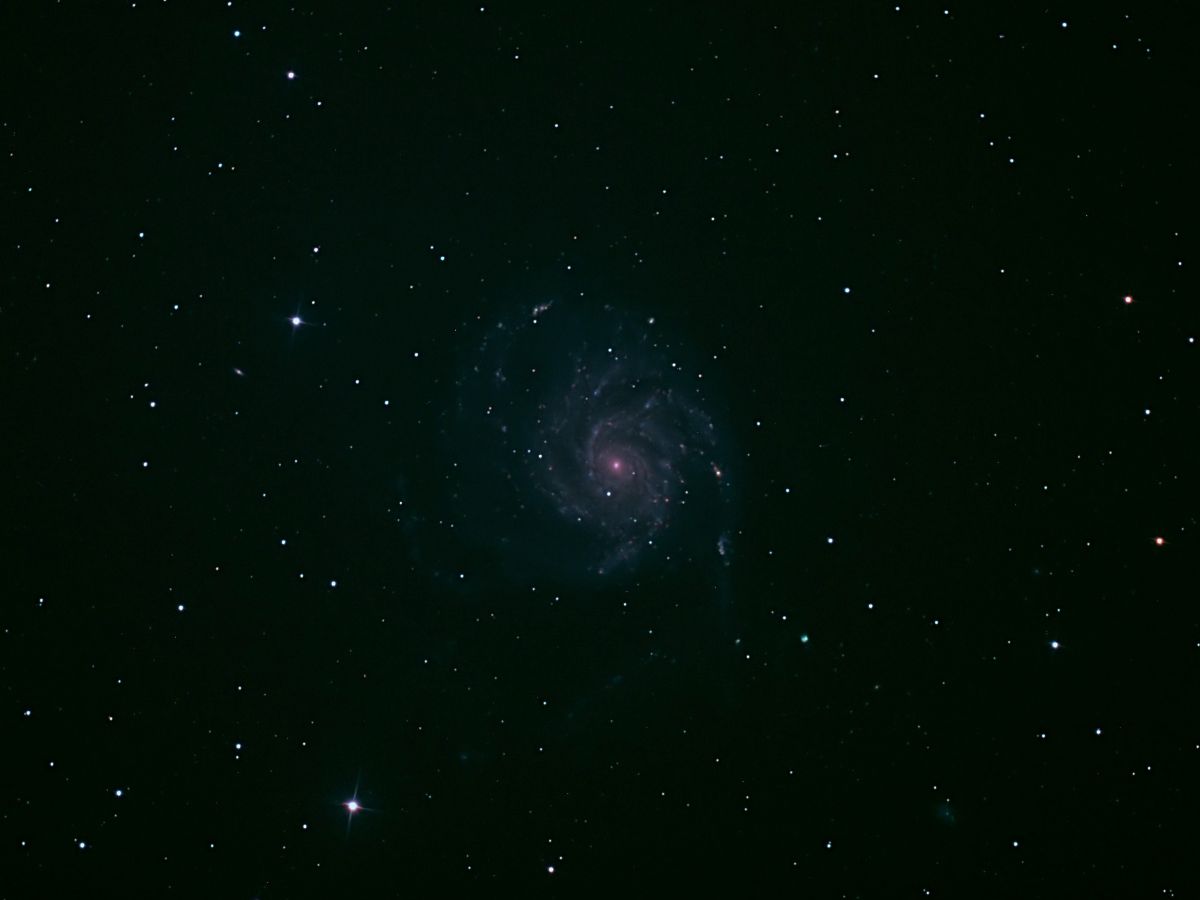 M101