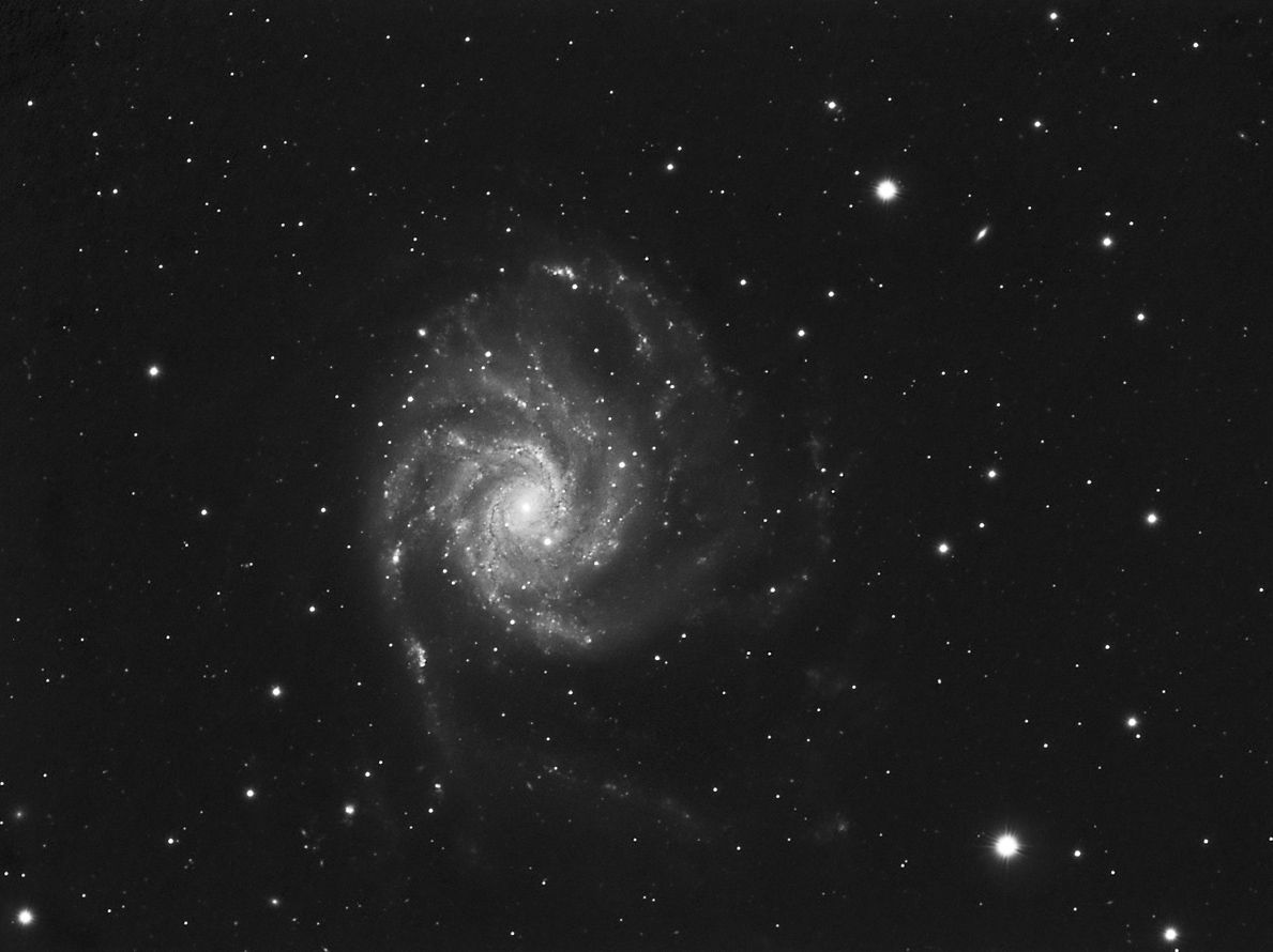 M101