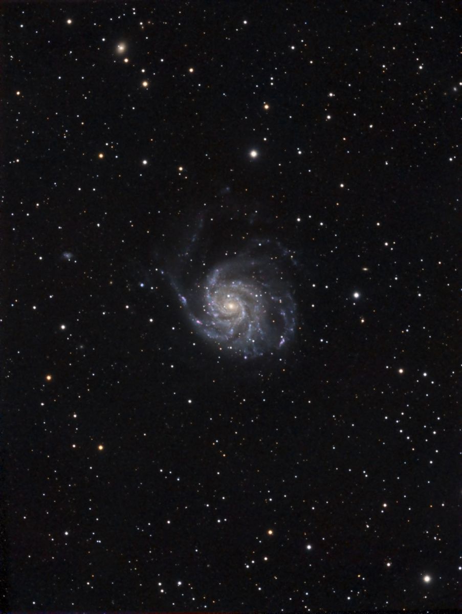 M101