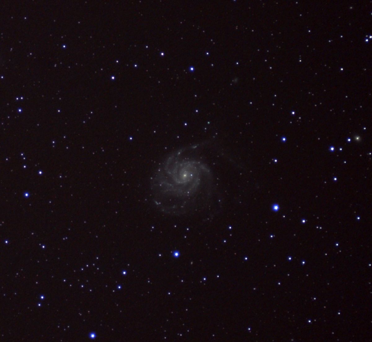 M101