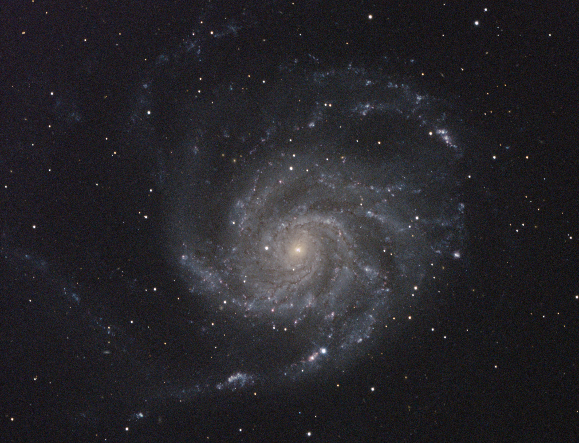 M101_2023ixf NOE Volkssternwarte