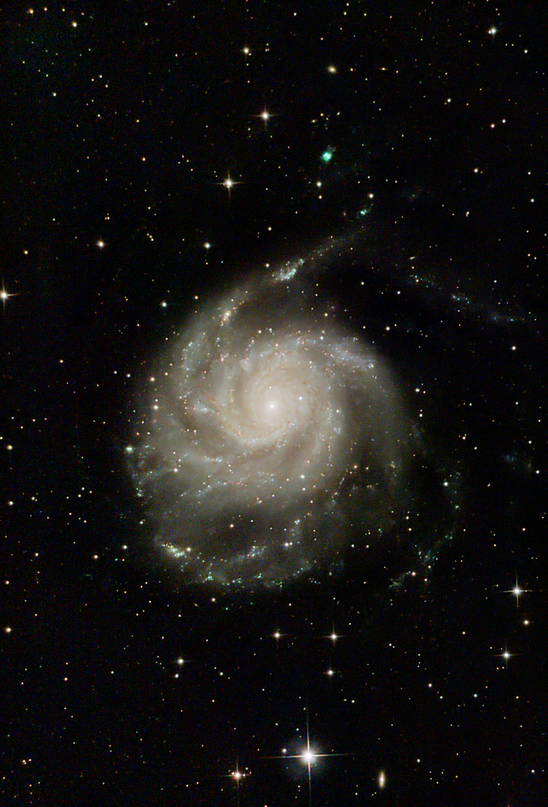 M101_mrz26klein.png