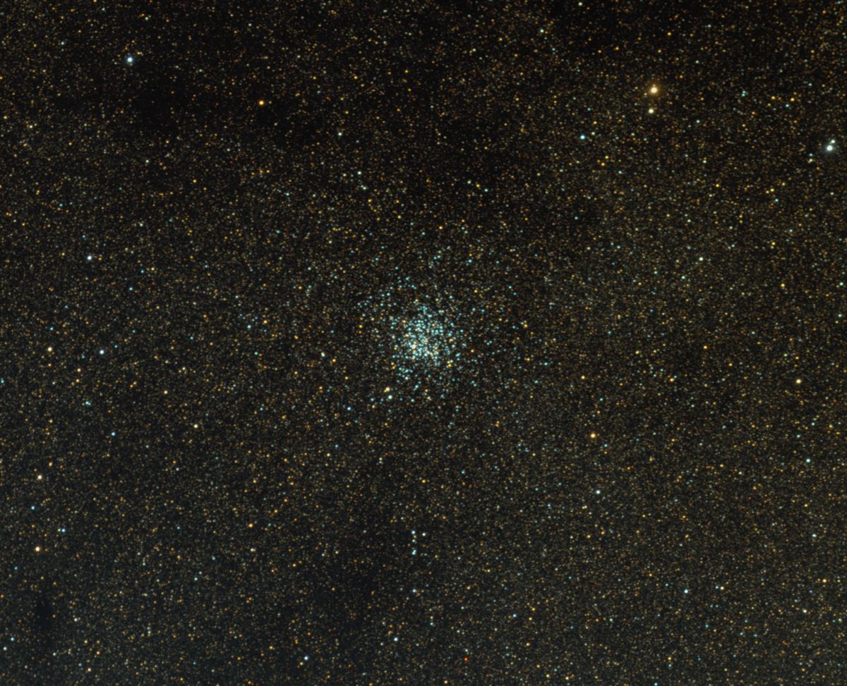 M11 - Wildentenhaufen