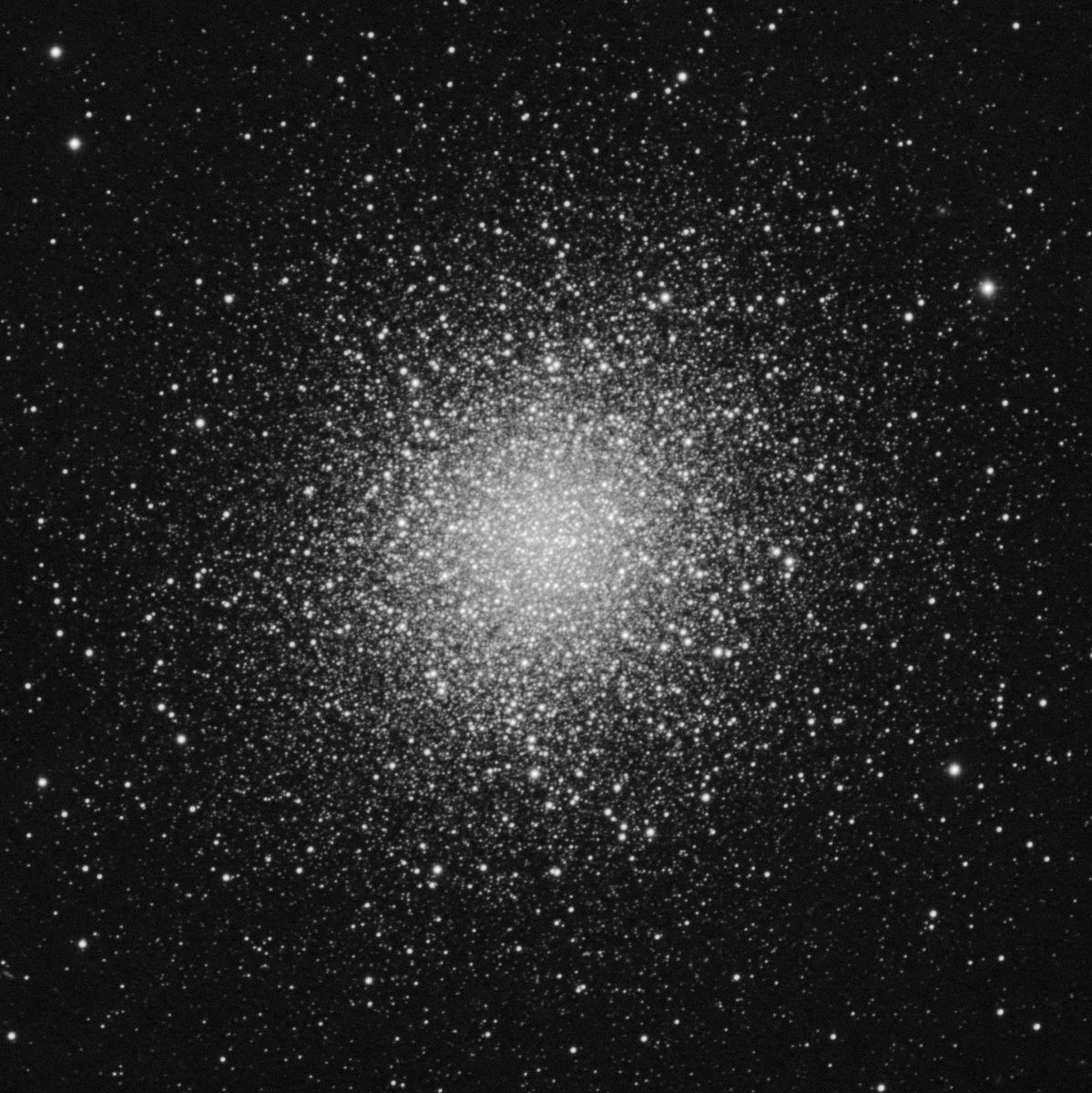 M13_TEC_1250_cropp.jpg